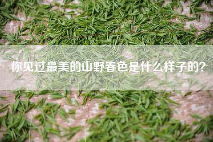 你见过最美的山野春色是什么样子的？