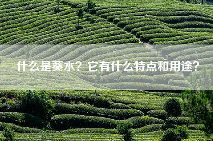 什么是葵水？它有什么特点和用途？
