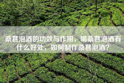 桑葚泡酒的功效与作用，喝桑葚泡酒有什么好处，如何制作桑葚泡酒？