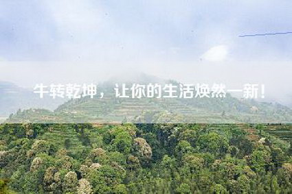 牛转乾坤，让你的生活焕然一新！