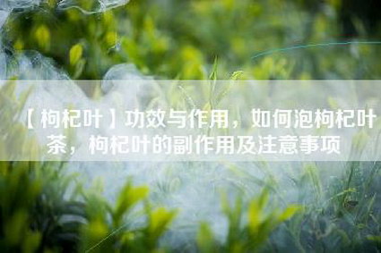 【枸杞叶】功效与作用，如何泡枸杞叶茶，枸杞叶的副作用及注意事项