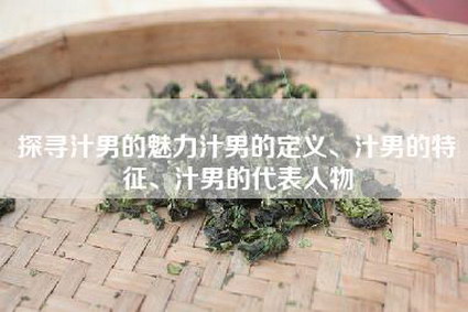 探寻汁男的魅力汁男的定义、汁男的特征、汁男的代表人物