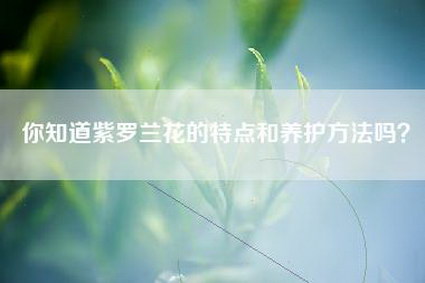 你知道紫罗兰花的特点和养护方法吗？