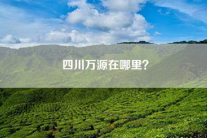四川万源在哪里？