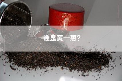 谁是黄一惠？