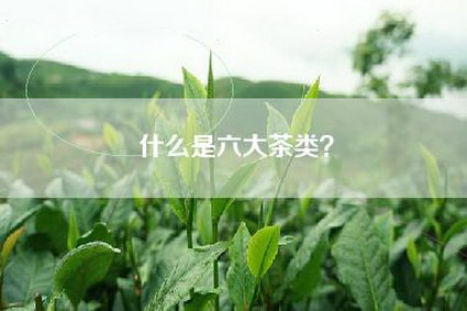 什么是六大茶类？