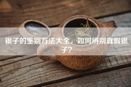 银子的鉴别方法大全，如何辨别真假银子？