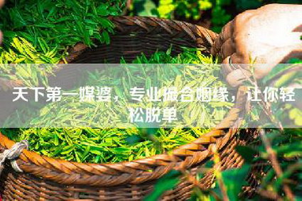天下第一媒婆，专业撮合姻缘，让你轻松脱单