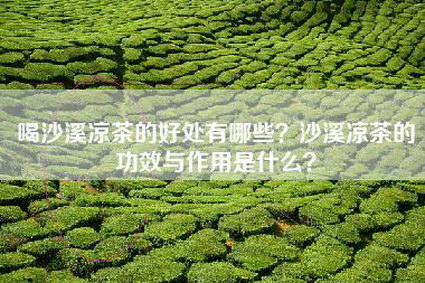 喝沙溪凉茶的好处有哪些？沙溪凉茶的功效与作用是什么？