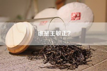 谁是王敏正？