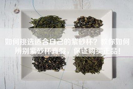如何挑选适合自己的紫砂杯？教你如何辨别紫砂杯真假，保证购买正品！