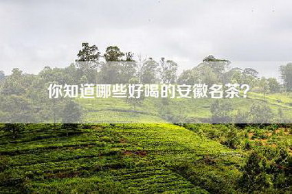 你知道哪些好喝的安徽名茶？