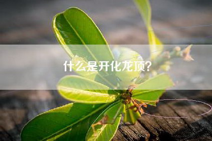 什么是开化龙顶？