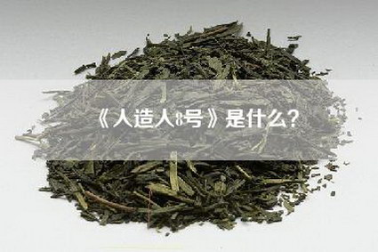 《人造人8号》是什么？