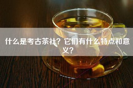 什么是考古茶社？它们有什么特点和意义？