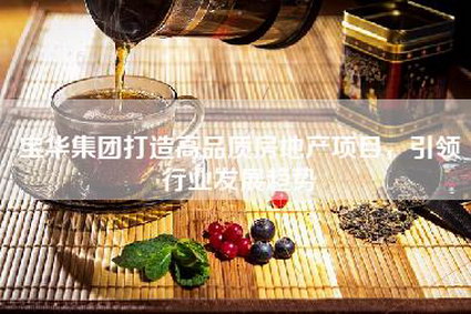 宝华集团打造高品质房地产项目，引领行业发展趋势
