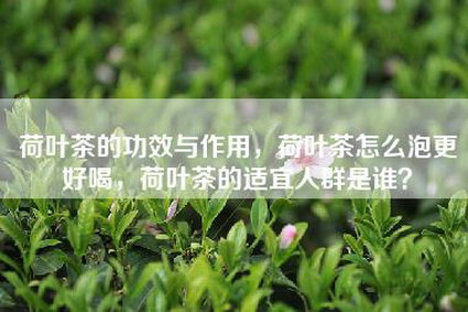 荷叶茶的功效与作用，荷叶茶怎么泡更好喝，荷叶茶的适宜人群是谁？