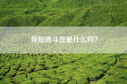 你知道斗笠是什么吗？