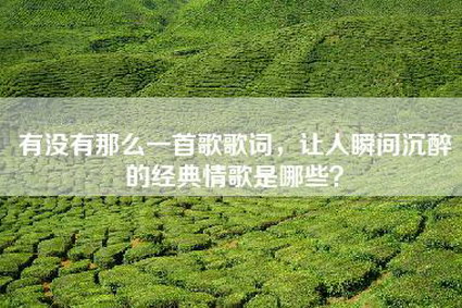 有没有那么一首歌歌词，让人瞬间沉醉的经典情歌是哪些？