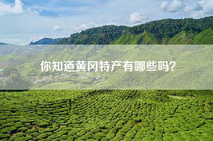 你知道黄冈特产有哪些吗？