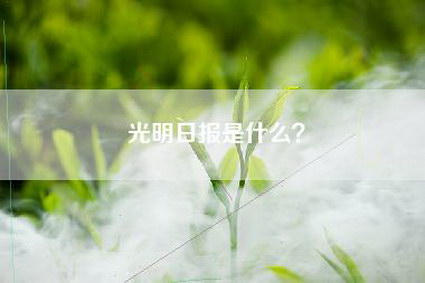 光明日报是什么？