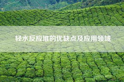 轻水反应堆的优缺点及应用领域