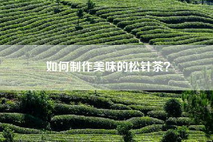 如何制作美味的松针茶？
