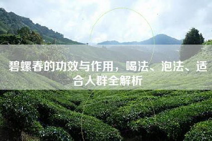 碧螺春的功效与作用，喝法、泡法、适合人群全解析