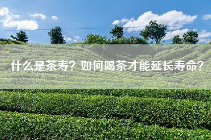 什么是茶寿？如何喝茶才能延长寿命？