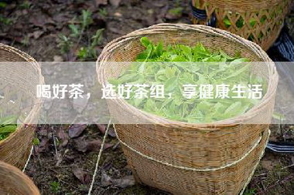 喝好茶，选好茶组，享健康生活