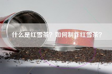 什么是红雪茶？如何制作红雪茶？