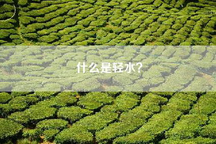 什么是轻水？
