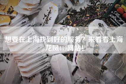 想要在上海找到好的服务？来看看上海龙凤419网站！