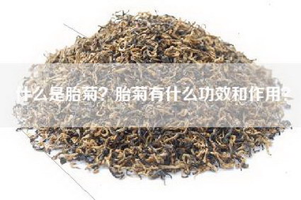 什么是胎菊？胎菊有什么功效和作用？