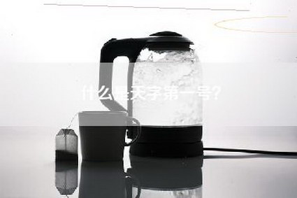 什么是天字第一号？