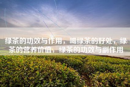 绿茶的功效与作用，喝绿茶的好处，绿茶的营养价值，绿茶的功效与副作用