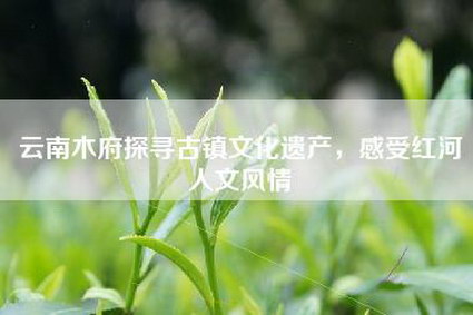 云南木府探寻古镇文化遗产，感受红河人文风情