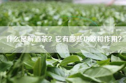 什么是解酒茶？它有哪些功效和作用？
