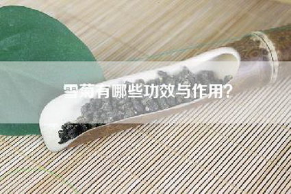 雪菊有哪些功效与作用？