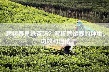 碧螺春是绿茶吗？解析碧螺春的种类、功效和泡法