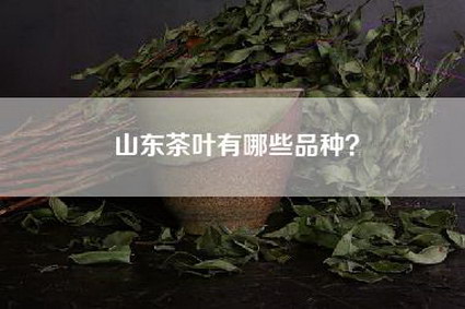山东茶叶有哪些品种？