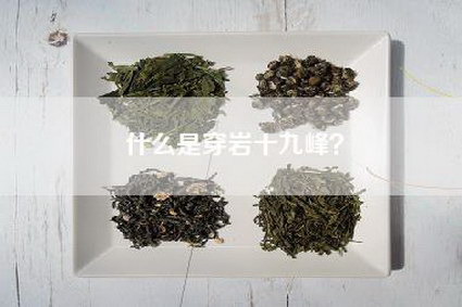 什么是穿岩十九峰？