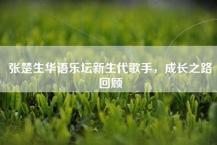 张楚生华语乐坛新生代歌手，成长之路回顾