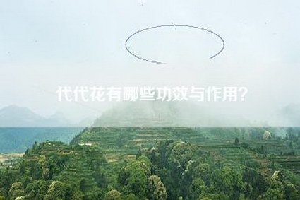 代代花有哪些功效与作用？