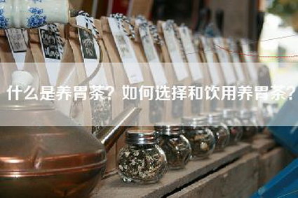 什么是养胃茶？如何选择和饮用养胃茶？