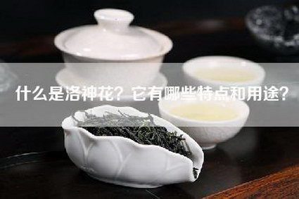 什么是洛神花？它有哪些特点和用途？