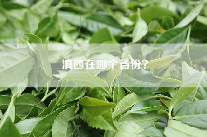 滇西在哪个省份？
