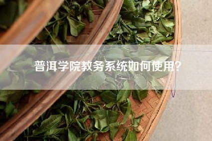 普洱学院教务系统如何使用？