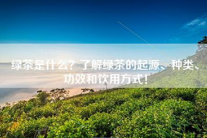 绿茶是什么？了解绿茶的起源、种类、功效和饮用方式！