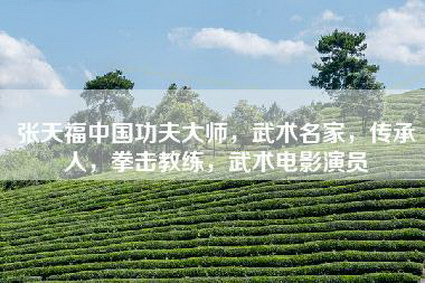 张天福中国功夫大师，武术名家，传承人，拳击教练，武术电影演员